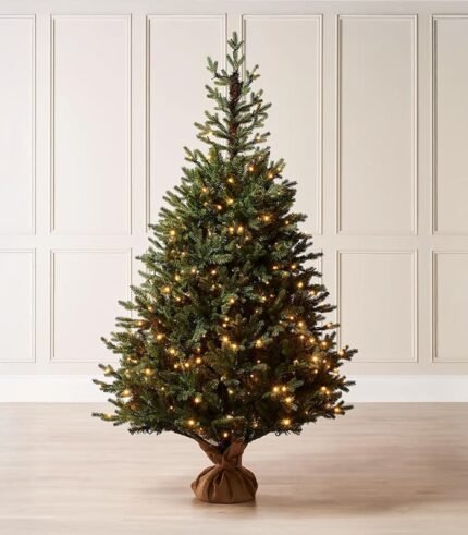 norway-christmas-tree.jpeg